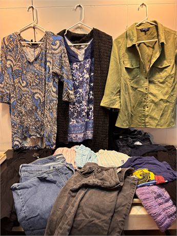 Plus size clothing: Levi’s 16W, Old Navy Skinny Jeans 4