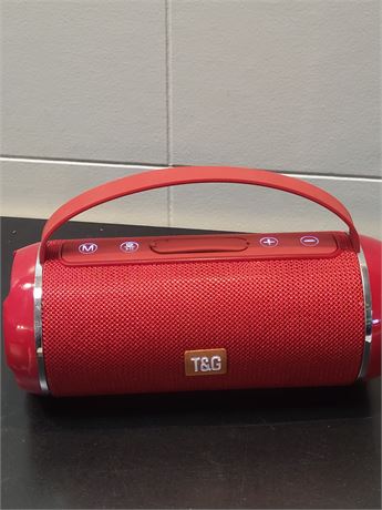 ​T&G Portable High-Fidelity Wireless Speaker DC