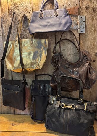 Designer Handbag & Accessory Lot (6pcs) - Coach, Roots 73, The Sak, Danbaoly 15