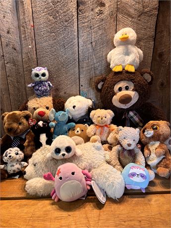 Ty Beanie Boos, Squishmallows, Character Bears & More!