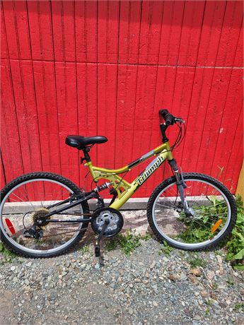 Triumph Cliff Hanger Mountain Bike 24in
