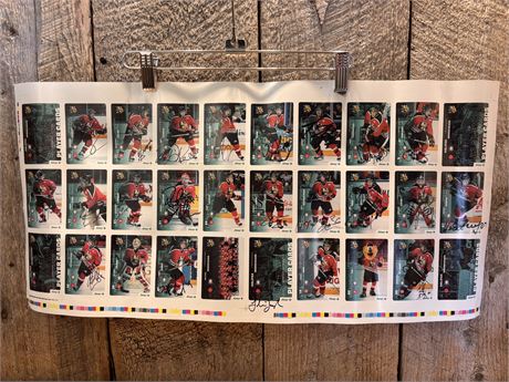 Vintage 1999–2000 Halifax Mooseheads Uncut Player Card Sheet