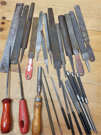 Assorted Metal File and Rasp Set